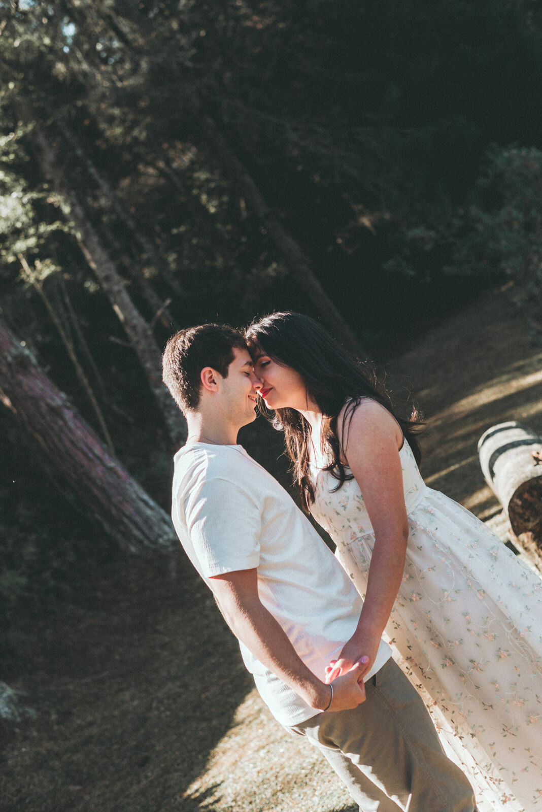 Foto 6 Locais para um Lindo Ensaio de Casal em Nova Friburgo e Região - Imagem 4